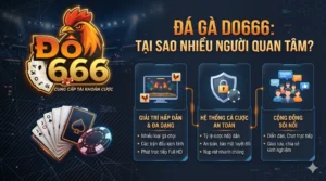 Đá gà Do666 là gì mà nhiều người quan tâm?