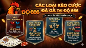 Do666 có bao nhiêu loại kèo cược đá gà hiện nay
