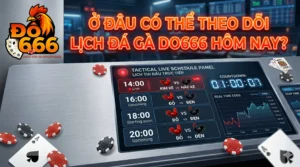 Ở đâu có thể theo dõi lịch đá gà Do666 hôm nay?