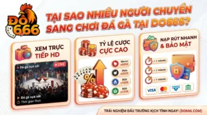 Tại sao nhiều người chuyển sang chơi đá gà tại Do666