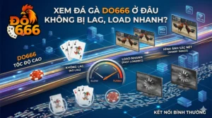 Xem đá gà Do666 ở đâu không bị lag, load nhanh