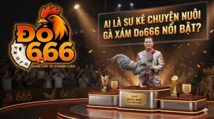 Ai la su ke chuyen nuoi ga xam Do666 noi bat scaled