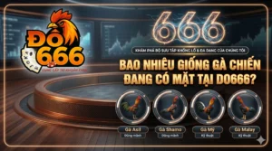 Bao nhieu giong ga chien dang co mat tai Do666 1 scaled
