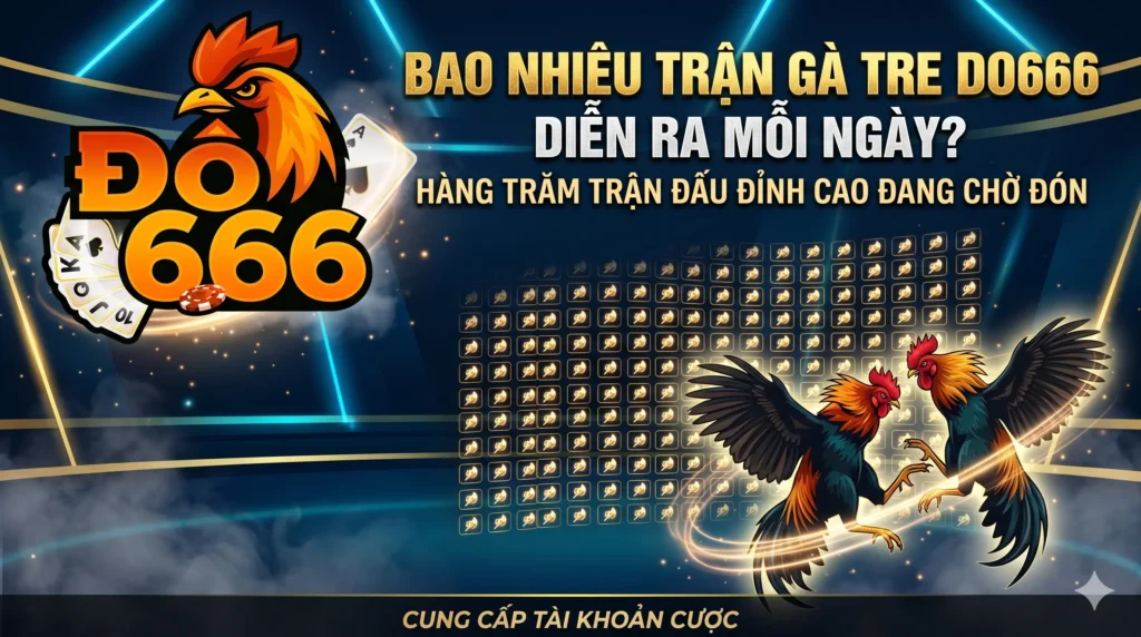 Bao nhiêu trận gà tre Do666 diễn ra mỗi ngày?