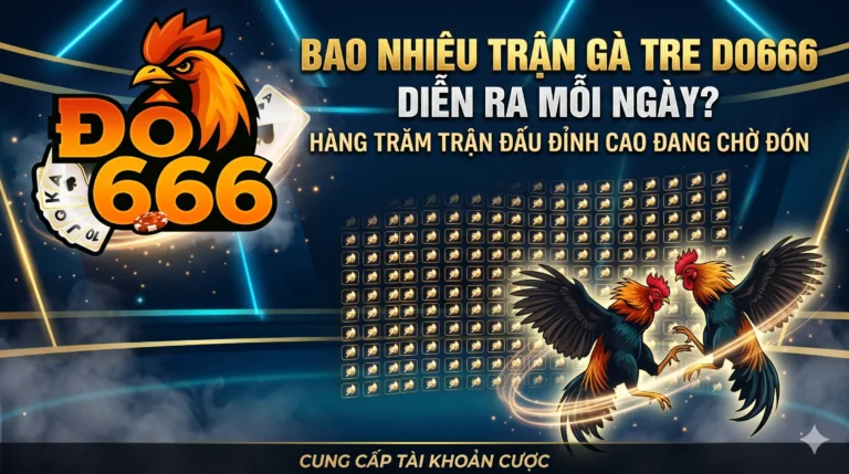 Bao nhiêu trận gà tre Do666 diễn ra mỗi ngày?