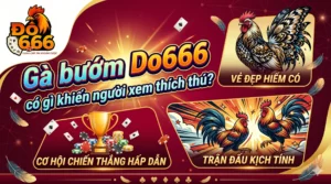 Gà bướm Do666 có gì khiến người xem thích thú?