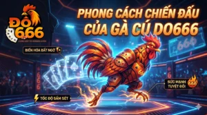 Gà cú Do666 có phong cách chiến đấu ra sao?