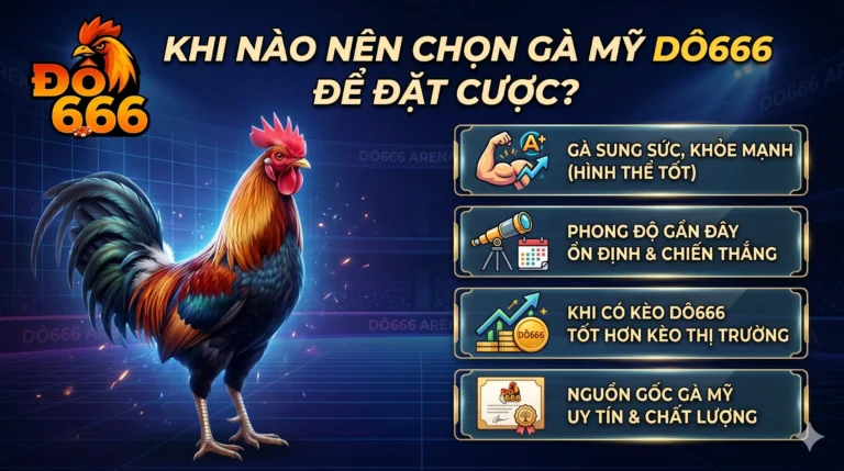 Khi nào nên chọn gà Mỹ Do666 để đặt cược?