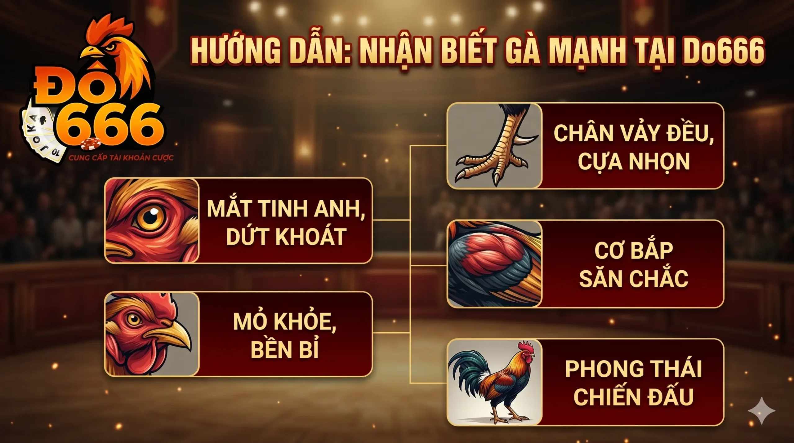 Làm thế nào để nhận biết gà mạnh tại Do666?