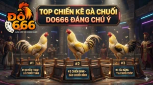 Top chien ke ga chuoi Do666 dang chu y scaled