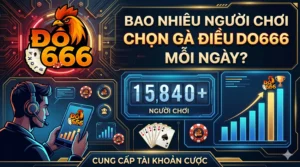 bao nhieu nguoi choi chon ga dieu do666 moi ngay 1 scaled