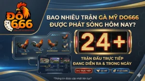 Bao nhieu tran ga My Do666 duoc phat song hom nay scaled