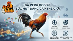 Ga Peru Do666 co gi khien cong dong quoc te chu y scaled