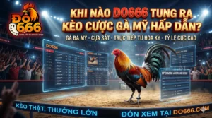 Khi nao Do666 tung ra keo cuoc ga My hap dan scaled