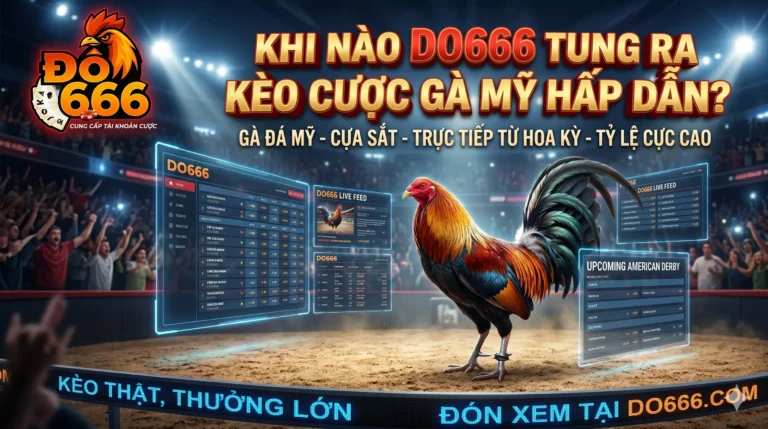 Khi nào Do666 tung ra kèo cược gà Mỹ hấp dẫn?